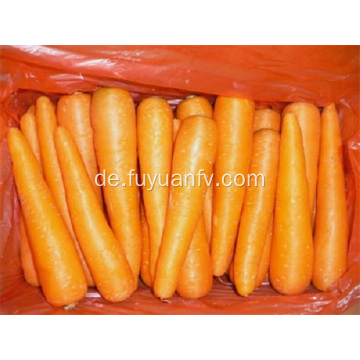 2019 neue frische Karotten